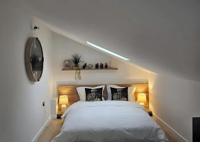 Transylvania Trails Braşov